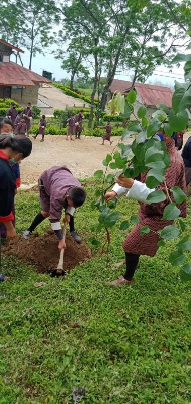 Bhutan scouts join world in planting trees