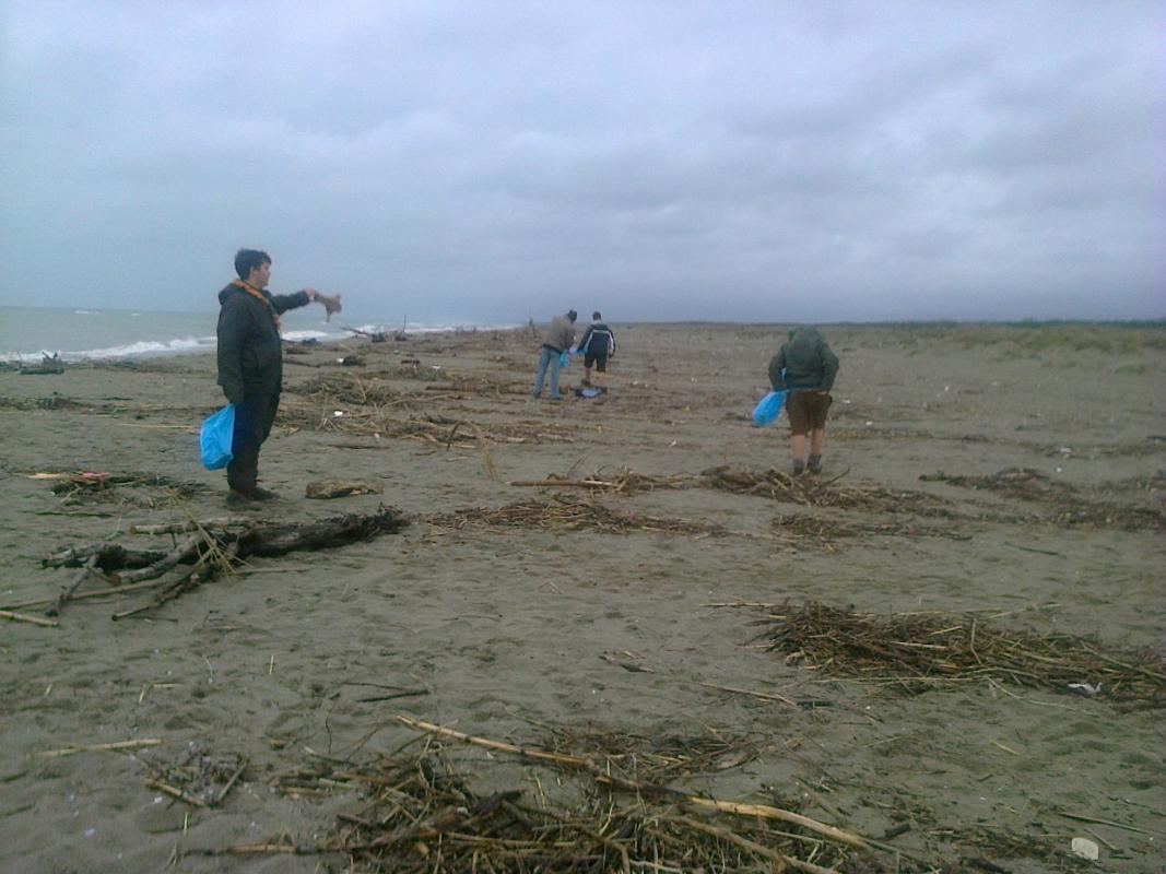 Beach cleaning