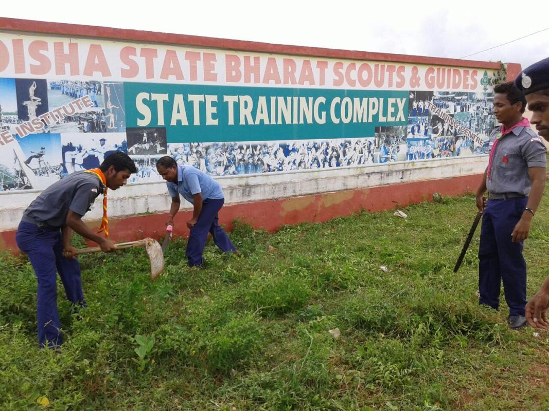 TREES FOR PEACE..INTERNATIONAL PEACE DAY..