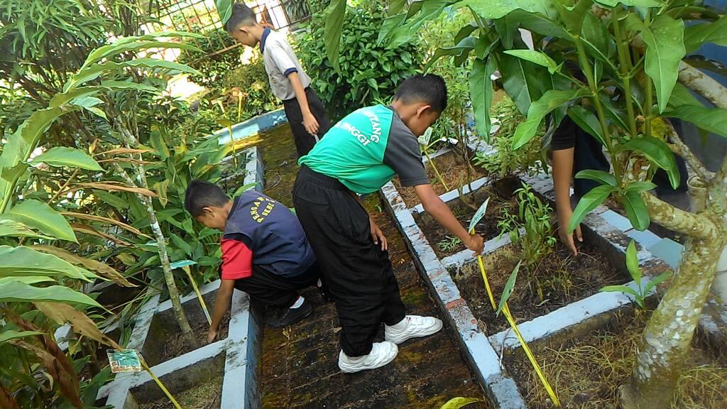 Kasihi Bumi Kita