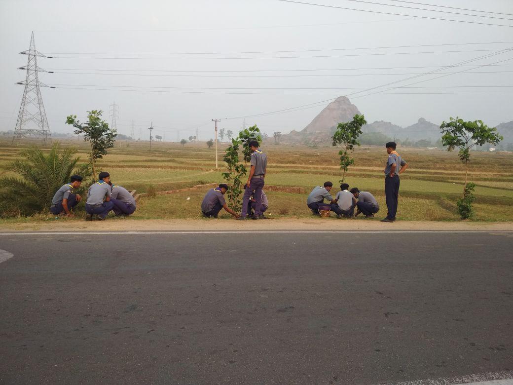 NATURE CARE TREE PLANTATION