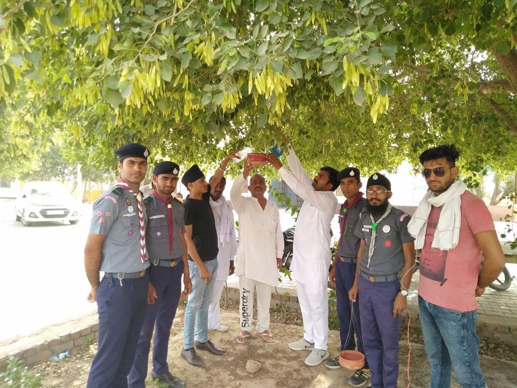 ग्राम पंचायत पतरोड़ा के अटल सेवा केंद्र में परिडे लगाये