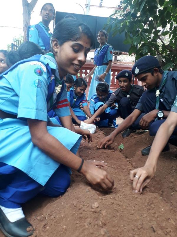 greenery bed campaign 