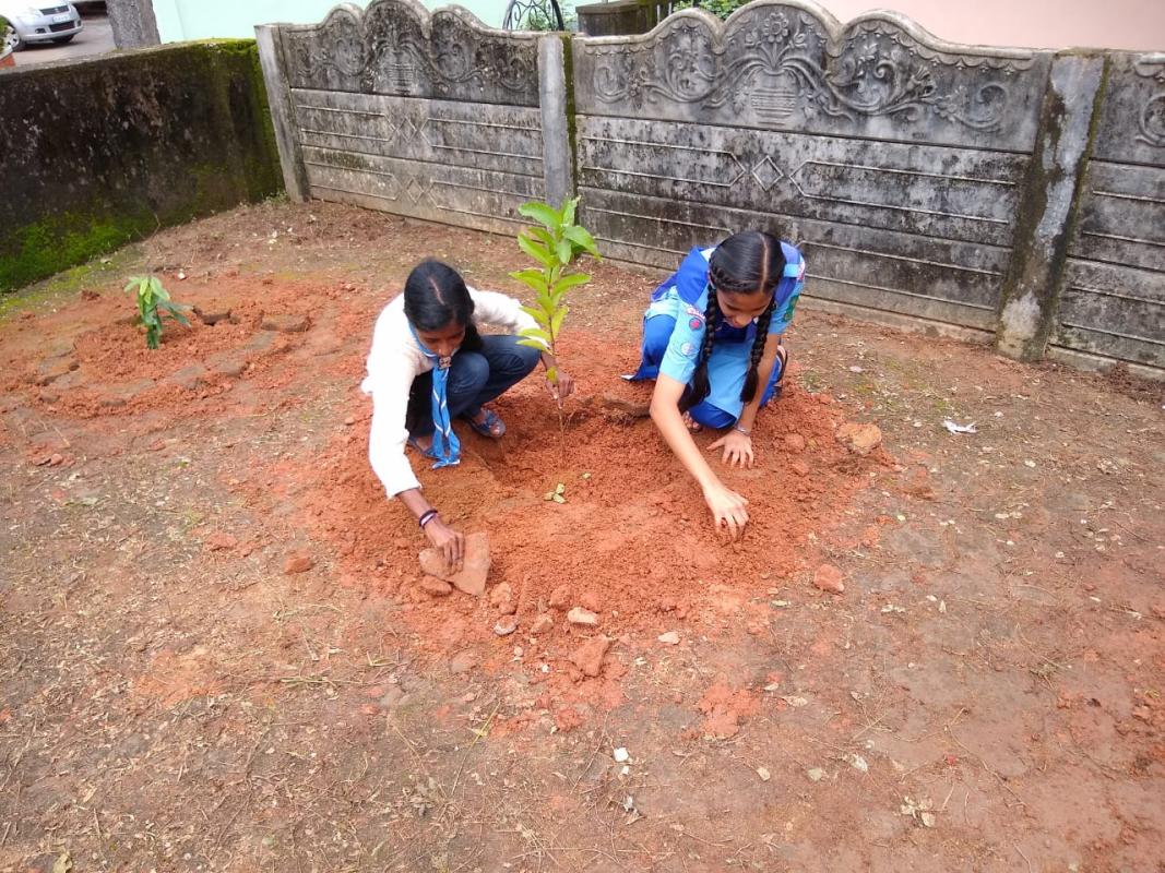 Vanamahotsav celebration at Bharath Scouts and Guides Udupi District Association office , Kadiyali , Udupi , Karnataka, India