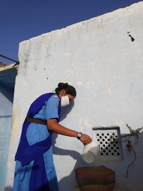 पक्षियों के लिए परिण्डे लगाये