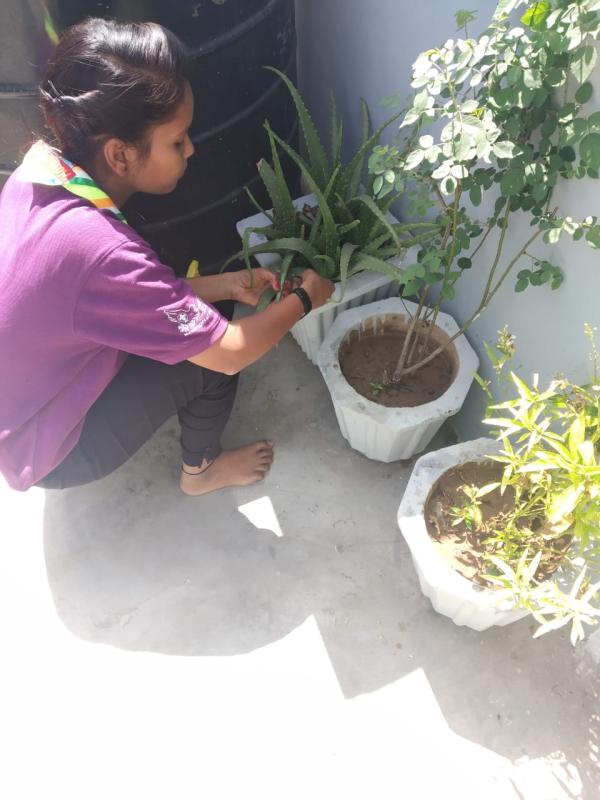 Environment and sustaibilty #Go organic 