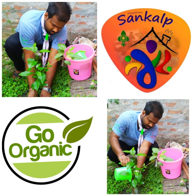 Group (B) Environment and sustainability
Challange-4 #GoOrganic

#bsgindes #stayathome  #  scouts4sdgs  #plasticchallenge  #bsgptt  #sankalpbyscoutguide।
