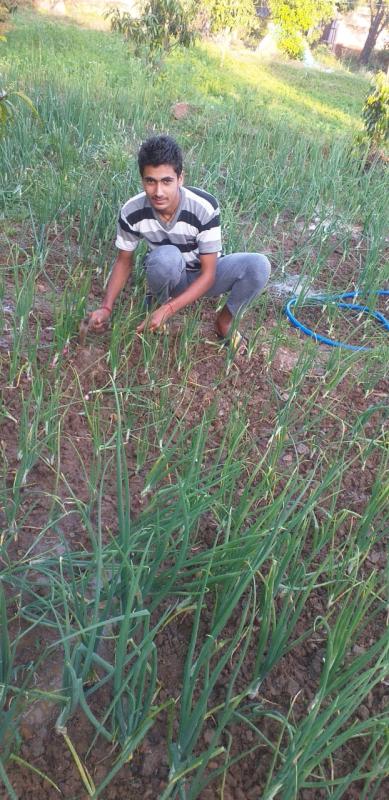 [B] Environment & Sustainability
Challenge 4 – #Goorganic