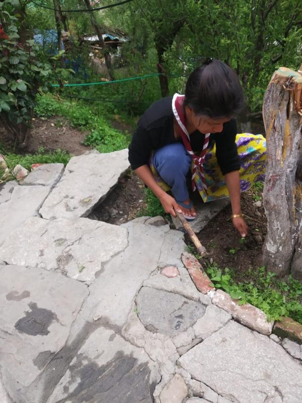  Unit worked on sustainable development goals. 