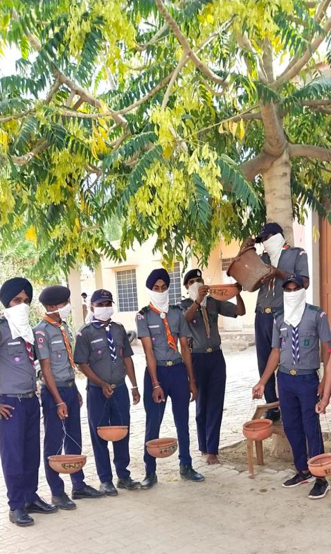 बेजुबान पक्षियों के लिए परिंडे लगाए व पशुओं के लिए हरे चारे की व्यवस्था 