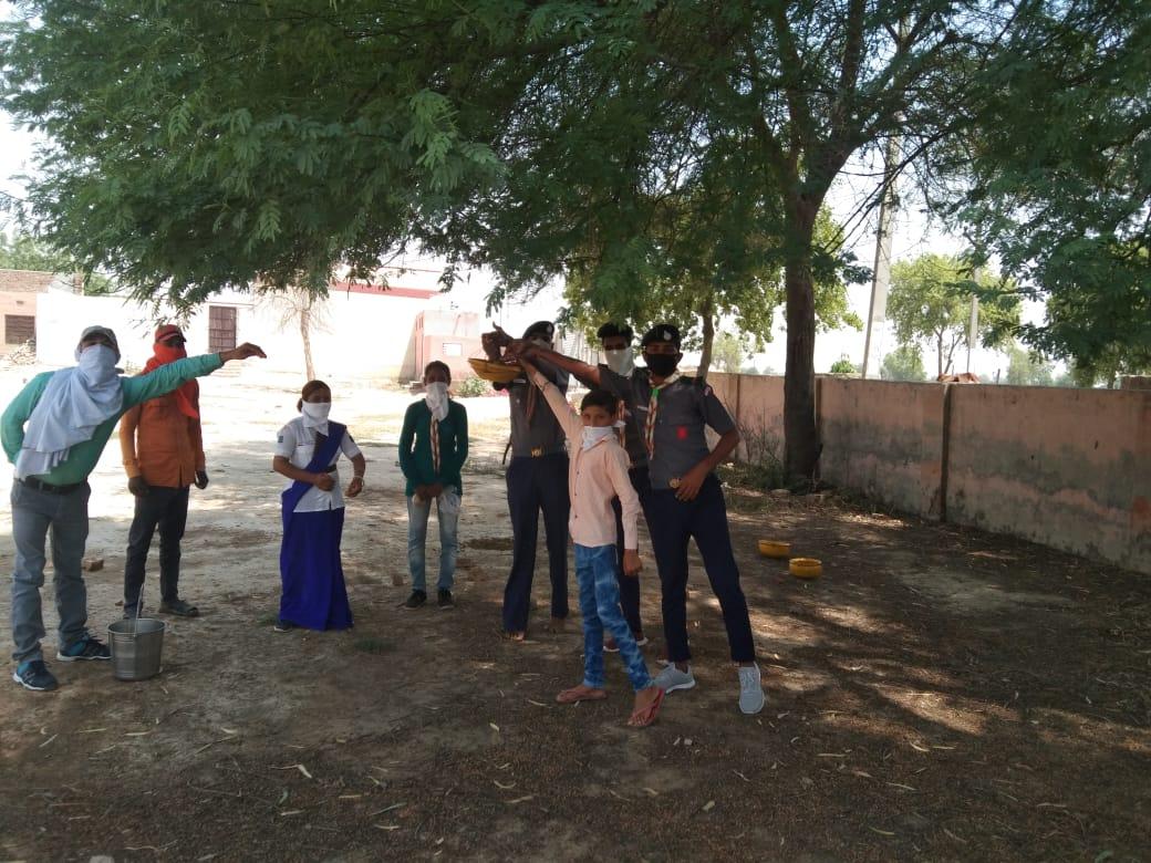 पक्षियों के लिए परिडे 