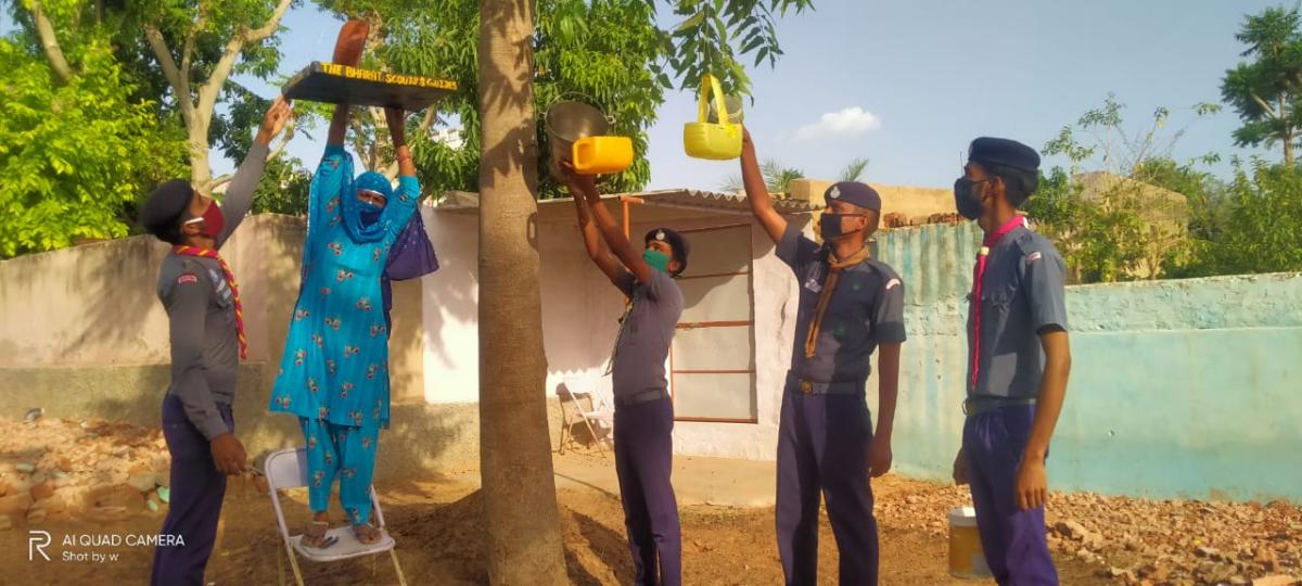 #migratory bird day 2020