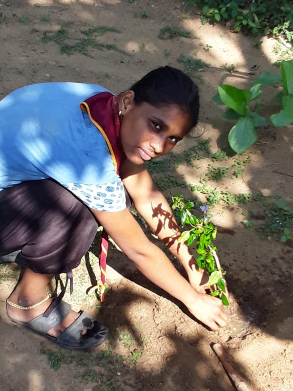 ##goorganic##gogreen##nohungermission##plastictideturner##reuseofplastics##