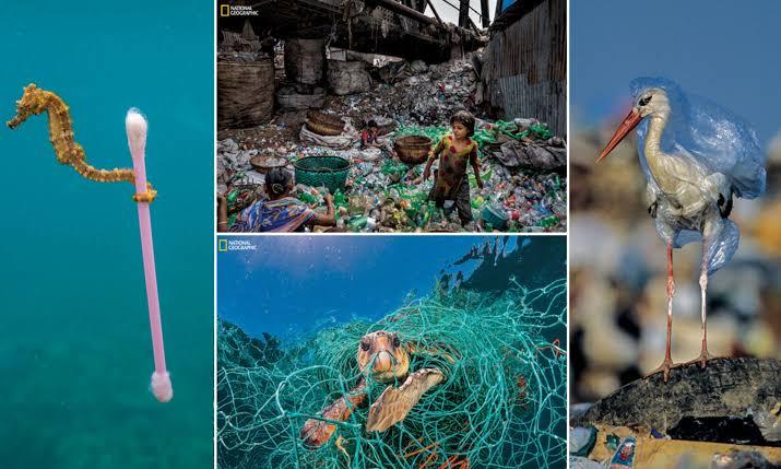 जरूरत मन्द मरीजो के लिए रक्त दान करते हुए स्काउट गाइड केप्टन जयलता माधव