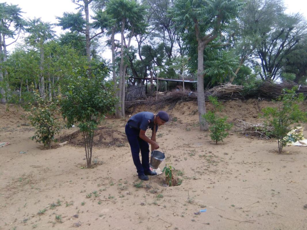 पेड़ पौधों में पानी देते हुए