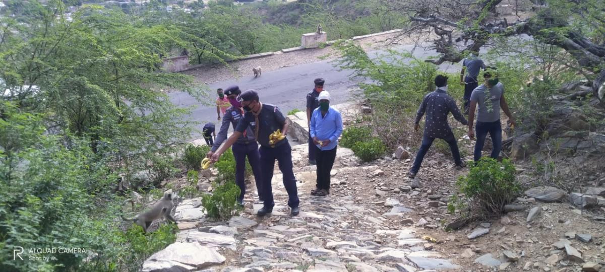  हर्ष पर्वत पर पशु पक्षियों की सेवा