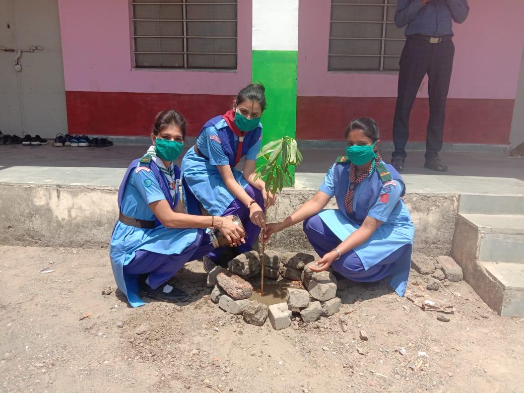 विश्व पर्यावरण दिवस