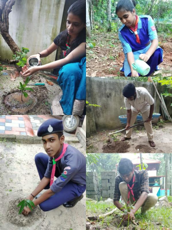 ENVIRONMENT DAY 5 JUNE 2021