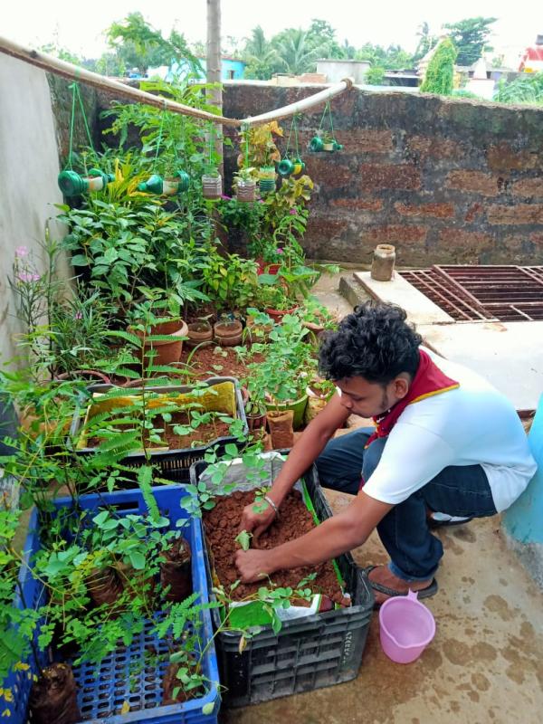 plantation and food distribution