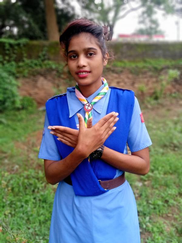 Virtual webinar on better world framework.