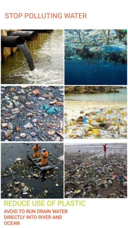 International day of peace 2020