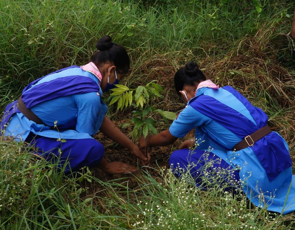 Activities on SDGs