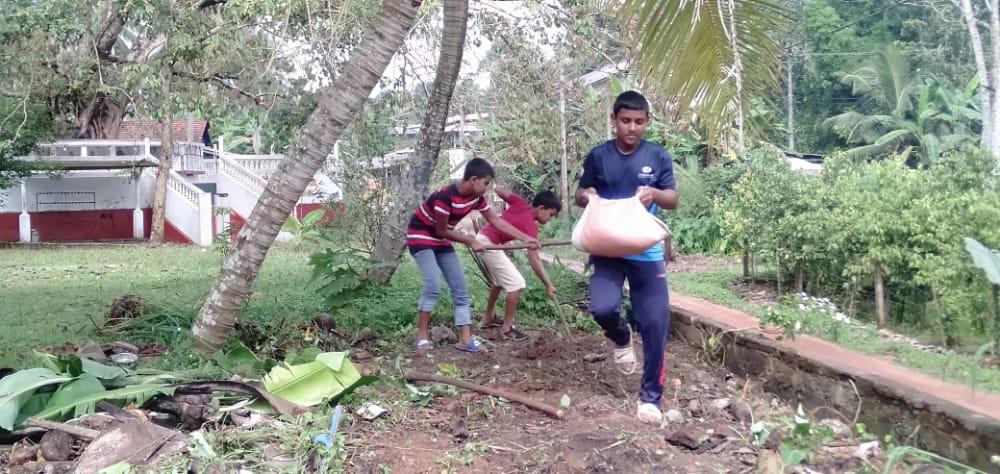 Help to make a green world