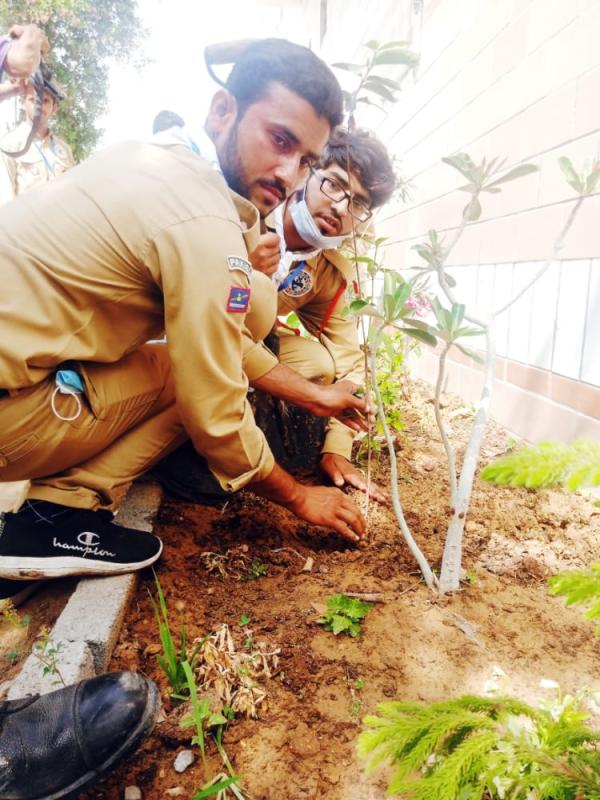 Clean and green Pakist