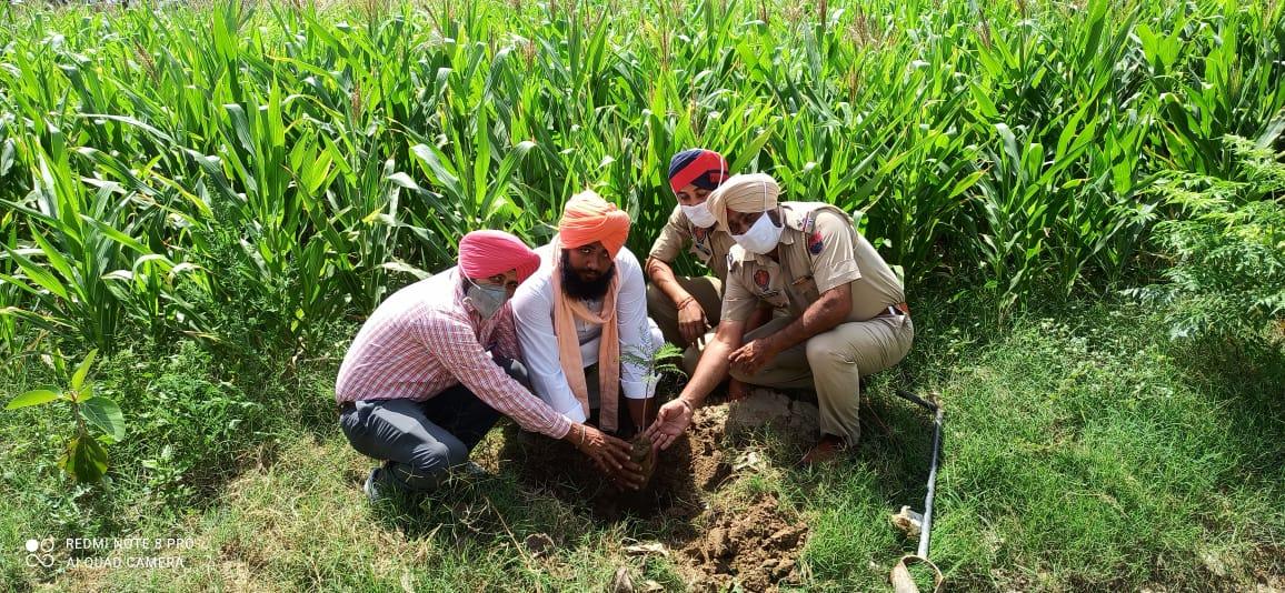 plantation for save the environment by dararat green club