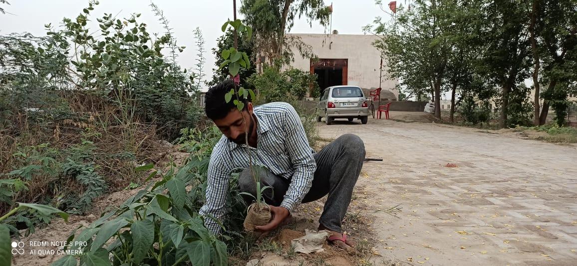 plantation for save the environment by dararat green club