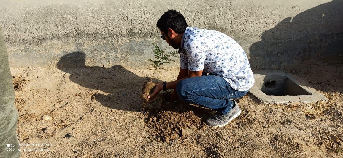 plantation for save the environment by dararat green club