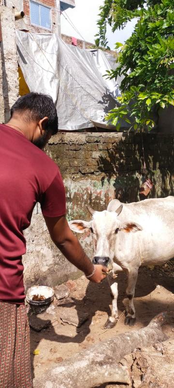 Feed the need