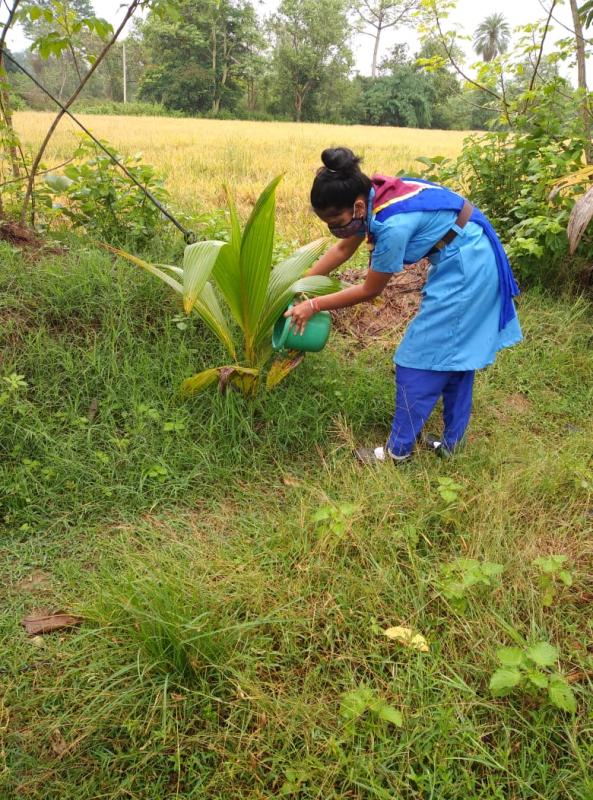 Save plant