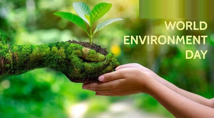 PLANTASION TO PROTECT AND SAVE THE WORLD