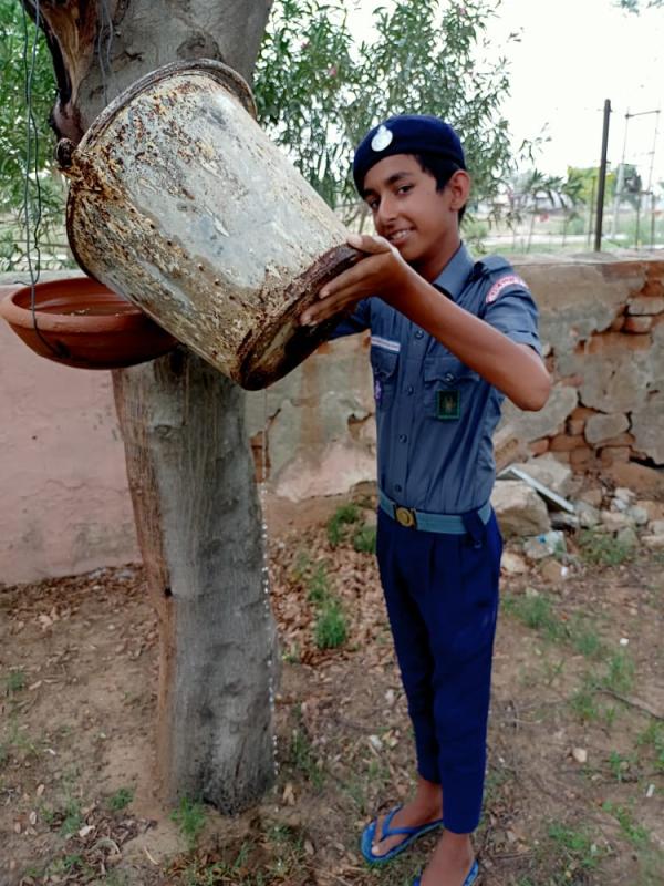 SDG  PROGRAMME
