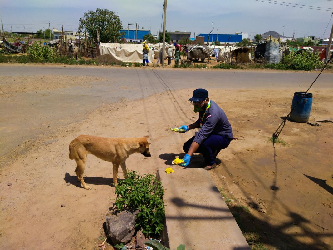 भुखे जानवरो को खाना खीलाया 