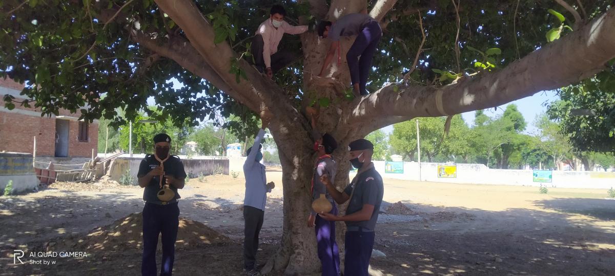 बेजुबान पक्षियों के लिए परेंडे लगाए गए