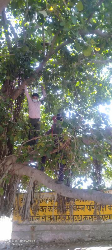 बेजुबान पक्षियों के लिए गोस्ले लगाए गए