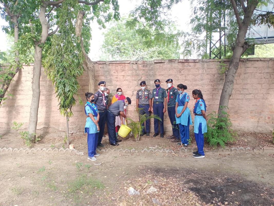 राज्य संगठन आयुक्त के निर्देशन में गर्ल्स गाइड हेडक्वार्टर जोधपुर में किया गया पौधारोपण #BSG DHQ JODHPUR, RAJASTHAN, INDIA
