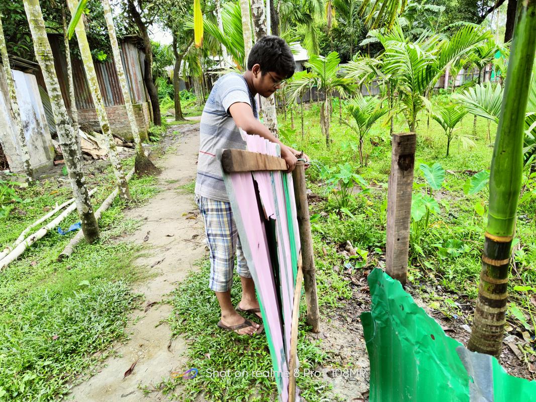 Ensuring trees safety 