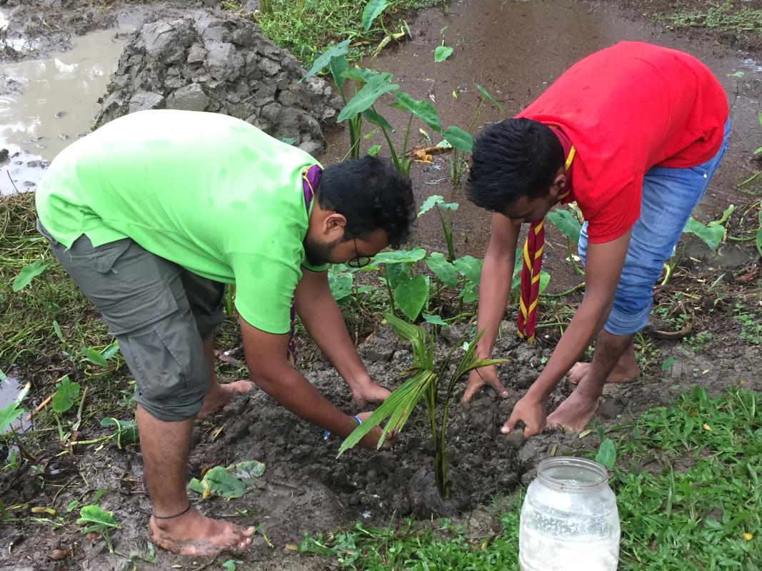 বৃক্ষ রোপন 
