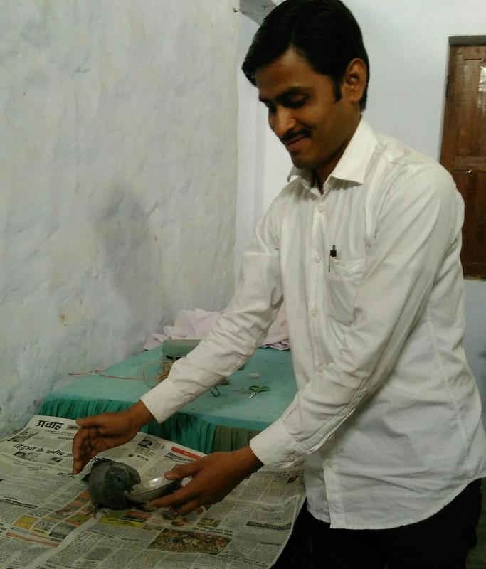 MOP work