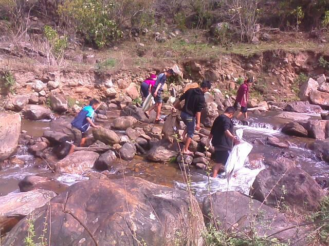 Save aquatic from harm