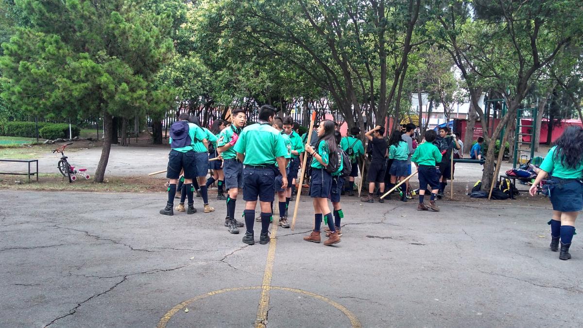 Corretea la rata