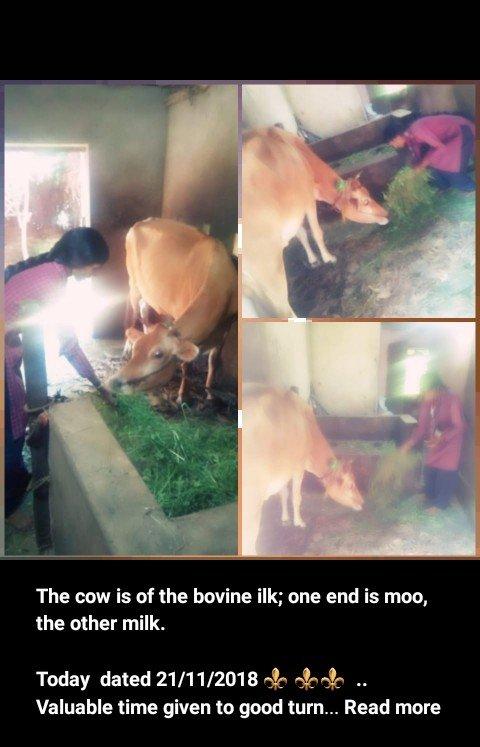 “Rovers 100 years 100 days service” from 23/09/2018 to 31/12/2018 BSG Udupi.Karnataka. INDIA.From 12th November to 21st November 2018. 