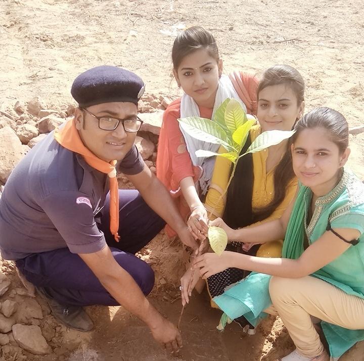 Machkund Dholpur Tree  Plantation 