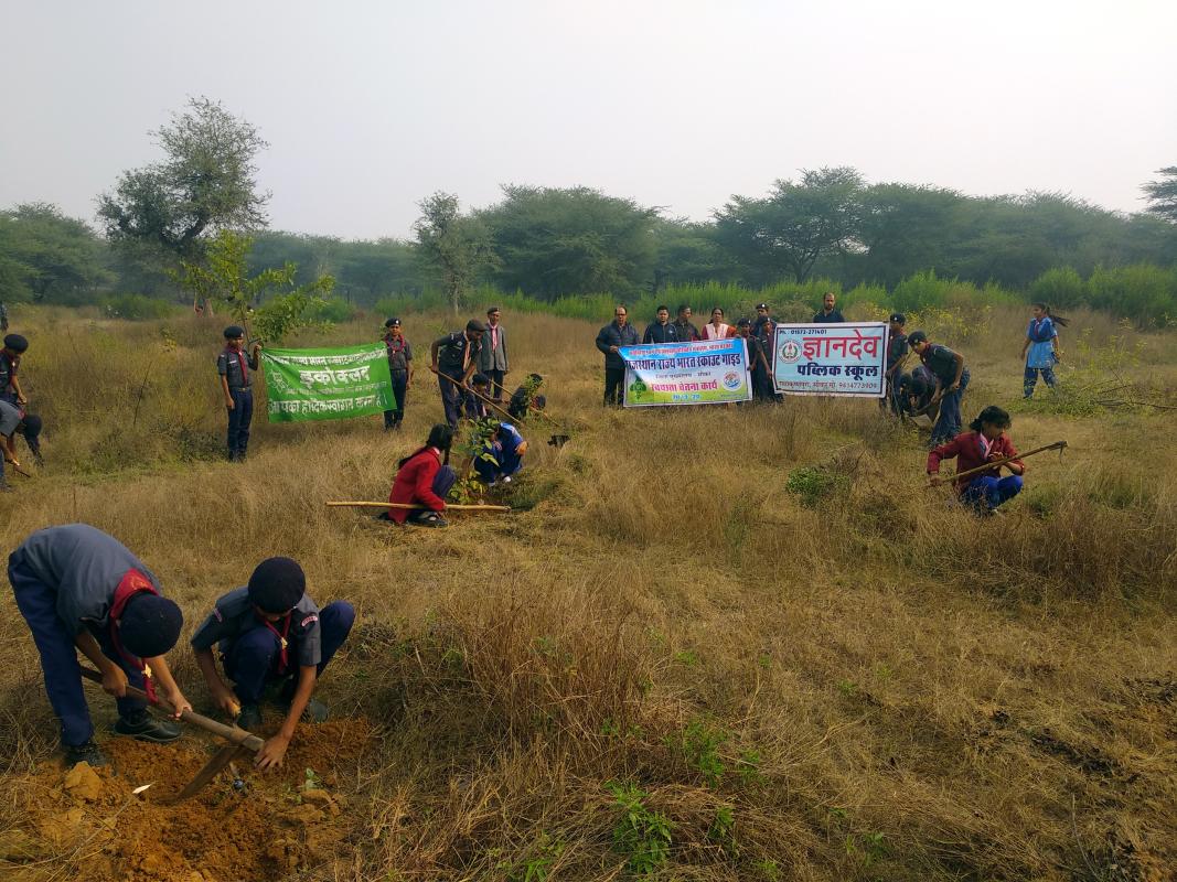  Environment Greenery