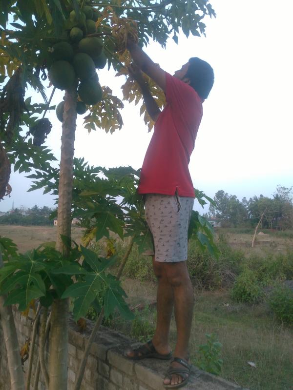 sankalap# Go green