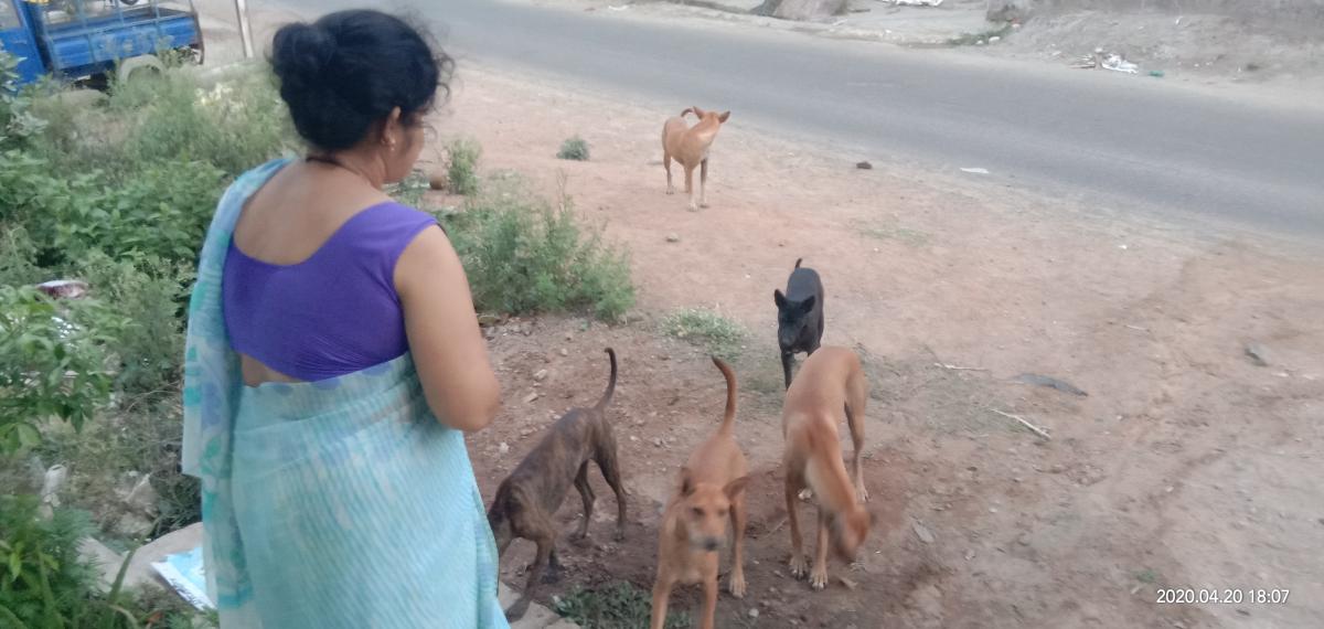 ##goodturn##nohungermission##Sankalpbyscoutsguides##