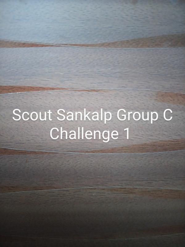 Scout Sankalp Group C Challenge 1 #Voice For The Planet (BSG,Karnataka, District Association Of Udupi)